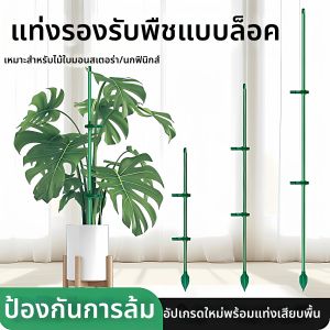 Plant Support Pole Anti-toppling Support