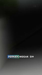 Trifinity Sumpit Bambu Besar Bersih Halus Kering / Tusuk Gigi Higienis / Tusuk Sate Panda Pack JSP