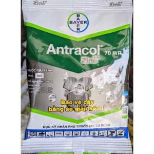 Thuốc trừ nấm Antracol 70WP Bayer gói 100g - Vàng Lá thán thư Lan hoa..