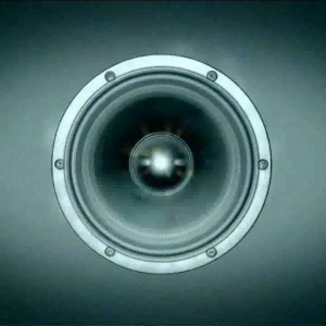 MM - （简装精选专辑）抖音网红热门男声烟嗓歌曲  Tik Tok online celebrity popular male voice Album Popular  Songs High Quality MP3 Format 1CD 100 Songs