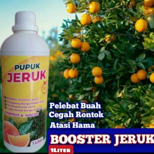 Pupuk Jeruk Organik Plus Biopestisida Cegah Hama dan Perusak Batang