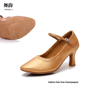 Modern Dance Shoes for Adult Women Soft Bottom Social Dance Shoes with Mid Heel for Square Dance and Latin Dance