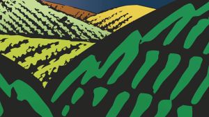 Garden of Life Grass Fed Collagen Beauty Strawberry Lemonade Juice 270g - คอลลาเจน บิวตี้ จากวัวที่เลี้ยงด้วยหญ้า