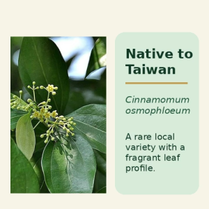 Taiwan Cinnamon (leaf) Tea 3g x 10 tea bag per box lowest coumarin contains worldwide cinnamaldehyde exceeds 80%