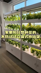 AB Water Souble Fertilizer AB水溶肥  Baja Hidroponik A+B 无土栽培水培营养液 ab fertilizer 室内种植 蔬菜 水果 花卉