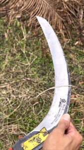 EGREK SAWIT PRO LONG PANJANG UNTUK POKOK SAWIT TINGGI TERLENGKAP DENGAN TAJI DAN BATU ASAH COD