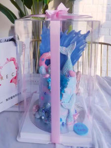 โปร่งแสง เค้กวันเกิดกล่องเดี่ยวชั้นคู่สามชั้นบอลลูนสูงเบเกอรี่กล่องบรรจุภัณฑ์สําหรับ 6 8 10 12 นิ้วเค้ก