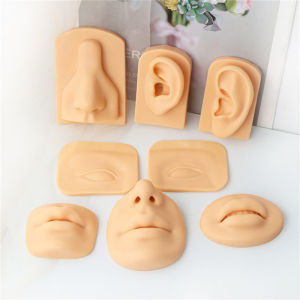 แบบจำลองร่างกายมนุษย์ หูซิลิโคน จมูก ปาก แบบจำลอง ฝึกเครื่องประดับร่างกาย แสดงเครื่องมือเจาะ ต่างหู เครื่องมือแสดง