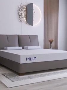 WE HOME ที่นอนสปริง หนา8นิ้ว ที่นอนยางพาราหลับสบายคลายปวดหลัง ส่งฟรี รับประกันตลอดอายุการใช้งาน ที่นอนสปริงคุณภาพ