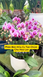 Phân Bón Tan Chậm Cho Hoa Lan – Dinh Dưỡng Cao Giúp Lan Khoẻ Hoa Bền Màu - Phân Bón Hữu Cơ Đậu Nành Lên Men 200gr