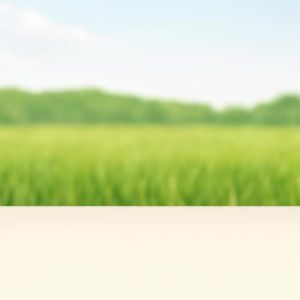 Petcher Virgin Coconut Oil Pet Food Topper and Skin & Coat Care VCO for Dogs and Cats