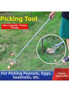 Multi-Purpose Collection Tool for Peanuts and Eggs