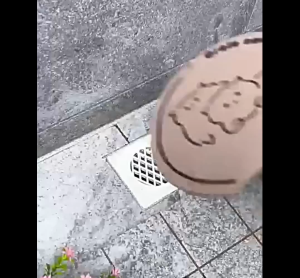 Cute Cat Floor Drain Cover with Handle Floor Drain Deodorant Mat Insect-Proof Deodorant Anti-Odor Toilet Kitchen