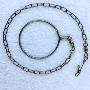 Dây xích chân cho vẹt và vòng khóa inox có tùy chỉnh tên số điện thoại