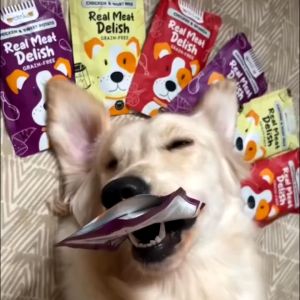 Petsup Wet Dog Food 85g – Tasty Puppy Food Real Meat Nutritious Wet Dog Food Pouch Healthy Dog Snacks Premium Wet Food for Puppies Delicious & High-Protein Meal for Happy Active Dogs.