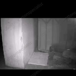 [ READY STOCK ] 1pcs Green River Mouse & Rat Glue Trap Board | Papan Pelekat Tikus | Perangkap Tikus