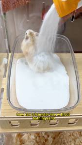 Hamster Bathing Sand 2kg Sterilization Deodorization Cleaning Bathing Sand