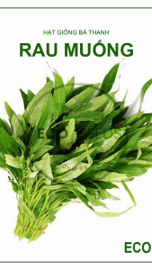 [EcoSeeds] Combo 2 Gói Hạt Giống Rau Muống Mê Kông Lá Tre Phú Điền - Cao Sản Siêu Năng Suất - Gói 20g