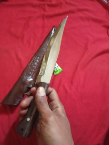pisau dapur iris dagingsayurkulit sapi