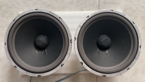 LOA BASS 25 TỪ KÉP COIL 38 MÀN VẢI ĐEN (1014) ĐẸP MỚI CHUYÊN HÁT KARAOKE - NGHE NHẠC ( 1 CÁI )