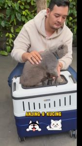 Kotak Kucing President: Kotak Kucing Desain Ergonomis