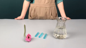 200pcs Floral Water Tubes / Tabung Air Bunga / Water Storage Pipe / Wadah Air Tangkai