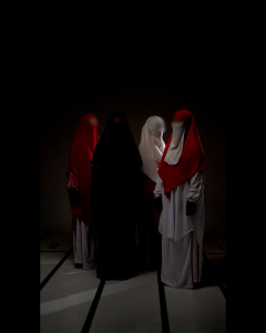 Nusseyba - Taza Kaos Dry Fit - Baju Olahraga Lengan Panjang - Pakaian Sport Wanita - Running Sporty Muslimah - Atasan TunikSyari