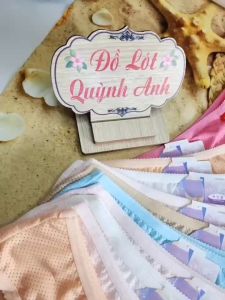 [Combo 10] Quần Lót Nữ Thun Lỗ Thông Hơi Đủ Màu Trơn Co Giãn Thoải Mái (6505) Size : 50 - 60 Kg  - Đồ Lót Quỳnh Anh