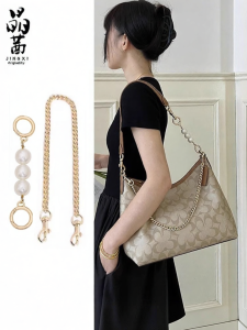 JINGQIAN | Pearl Extended Chain Bag Accessory