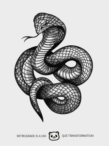 XM & XP Cobra Social Trendy Tattoo Sticker Waterproof Mens Long-Lasting Arm Herbal Semi-Permanent Artificial Non-Reflective