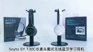 Wireless Bluetooth Headphone Noise Cancellation Headset With Microphone SD/TF Card Business Earphones Gaming Headset