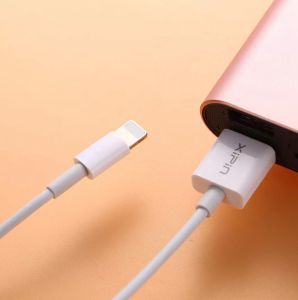 LX06 Durable Design 2.1A Fast Charge High Speed Lightning Cable 1M