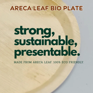 12 Inch Areca Leaf Disposable Plate 10 pieces Biodegradable Plate (Pakku Mattai) Picnic Plate | Big Dinner Plate