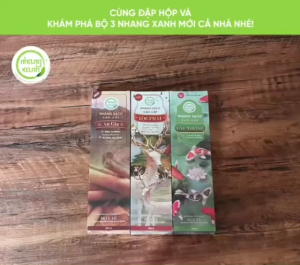 Nhang Quế Chi 30cm Nhang Xanh Hộp 200g ~180 Cây – Ít Khói Hương Ấm Áp – Xông Nhà Mới Thờ Cúng