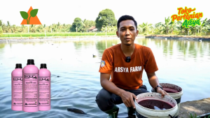 EM4 Perikanan &Tambak 1 Liter - Merah Muda