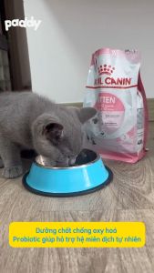 [10kg-13kg] Hạt Cho Mèo Con Royal Canin Kitten 36