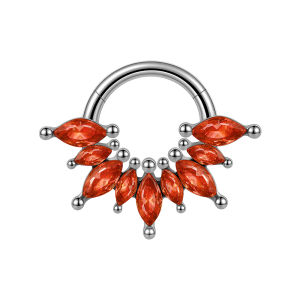 1 Chiếc Khuyên Tai Hình Chữ Thập/xương Cá/nhiều Hình Marquise Bằng Thép Phẫu Thuật Gắn Zircon Kiểu Bản Lề Dành Cho Khuyên Tai Sụn Tai Daith Helix Phong Cách Punk Trang Sức Body.