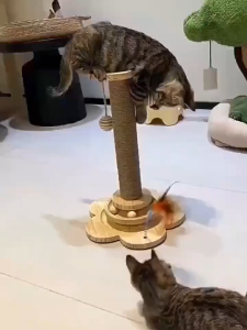 Cat Scratching Post Wooden Cat Scratcher Toy Scratch Post with 2 Level Cat Track Balls Interactive Feather Toy and 2 Sisal Hanging Balls for Indoor Kittens Adult Cats Interactive Scratcher Toy