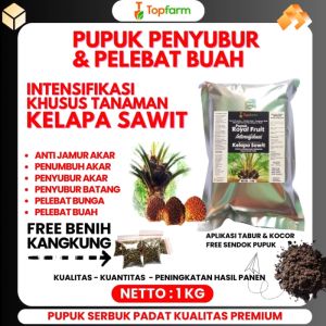 Pupuk Kelapa Sawit Terbaik / Pupuk Pembesar Buah Kelapa Sawit / Pupuk Buah Super Lebat Kelapa Sawit / Pupuk Buah Kelapa Sawit / Pupuk Kelapa Awit