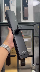 Khóa điện tử WIDMANN F26 ( Vân tay - thẻ từ - mã số - app)