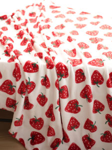Cute Strawberry Flannel Blanket Ins Girl Style Student Office Nap Blanket Single Sofa Cover Winter Warm Coral Fleece Blanket