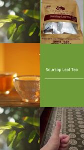 红毛榴莲叶茶 Soursop Leaf Tea 🌱 大自然的“抗癌战士” Nature’s Anti-Cancer Warrior 享用一杯红毛榴莲叶茶🍵，健康无病忧！