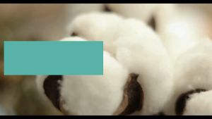 [M01 Hàng cao cấp] Combo 4 quần lót bé gái quần chip trẻ em cotton cao cấp size 10-44kg Maruka Fashion