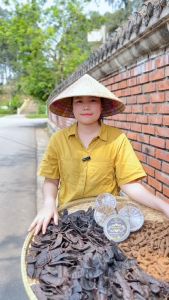 Nụ bồ kết Tân Nguyên bồ kết xông nhà nụ đuổi muỗi hộp 70 viên xông nhà kháng khuẩn thanh lọc khí