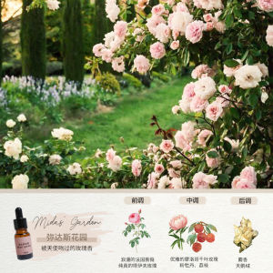 Soulspace Fragrance Sample Travel Aromatherapy Candle Incense Wax Block Fragrance Sleep Aid Lasting Essential Oil Hand Gift Fragrance Lamp