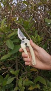 Kéo Cắt Tỉa Cành Cây Mũi Cong Sắc Bén Làm Vườn Chuyên Dụng Kéo Cắt Cành Lưỡi Cong Cầm Tay Lưỡi Thép Không Gỉ TIDO TI DO