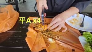 IPhone 15 Pro Max IPhone 14 Pro Max IPhone 13 Pro Max Case Rhinoshield Clear Case Customize Designed cover anti-yellowish Antishock Case Shock proof Anti Fingerprint BOJIO