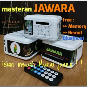Masteran burung jawara MP3 murai