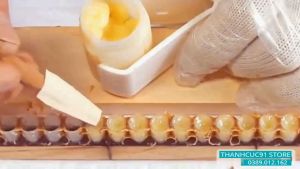 Sữa ong chúa nguyên chất ORGRANIC FARM - 100% Tự Nhiên