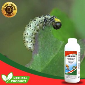 Chrysanthemum Pesticide for Pest Control 1Liter